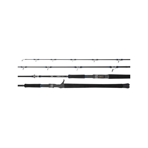 Daiwa 2025 Leobritz DG Dendoh Game Overhead Fishing Rod - Choose Model
