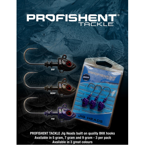 Profishent Tackle 5g Painted Fishing Jig Head - Choose Colour