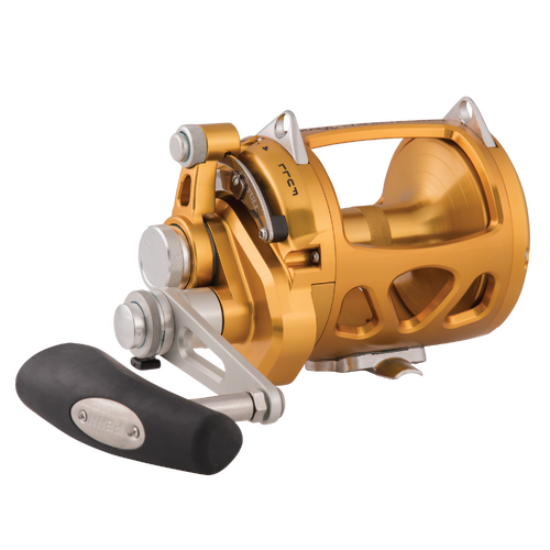 Penn International 30 VISW 2 Speed Overhead Game Fishing Reel