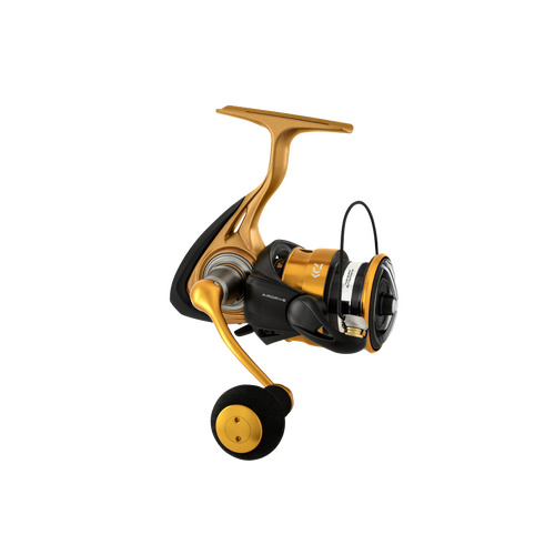 Daiwa 23 Aird LT Spinning Fishing Reel 2000