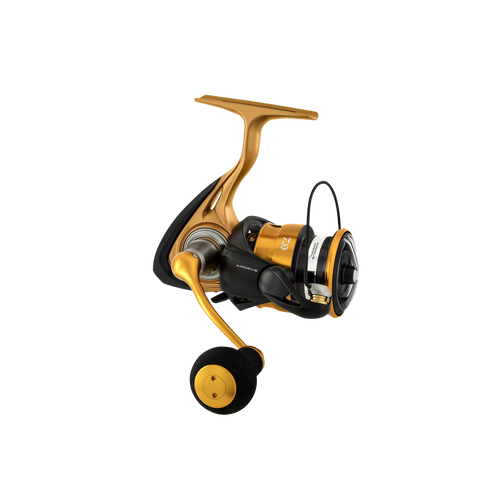 Daiwa 23 Aird LT Spinning Fishing Reel 6000 - H