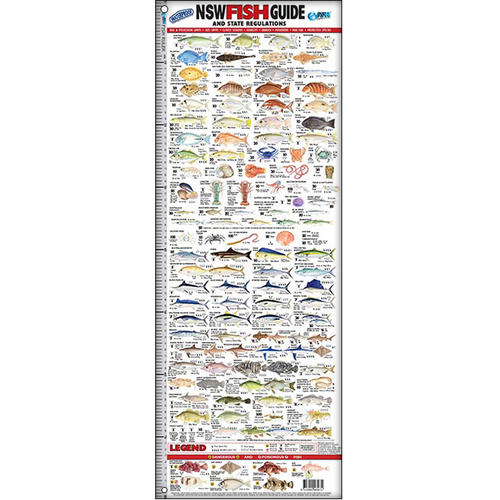 Australian Fishing Network New South Wales Fish ID Ruler (NSW)
